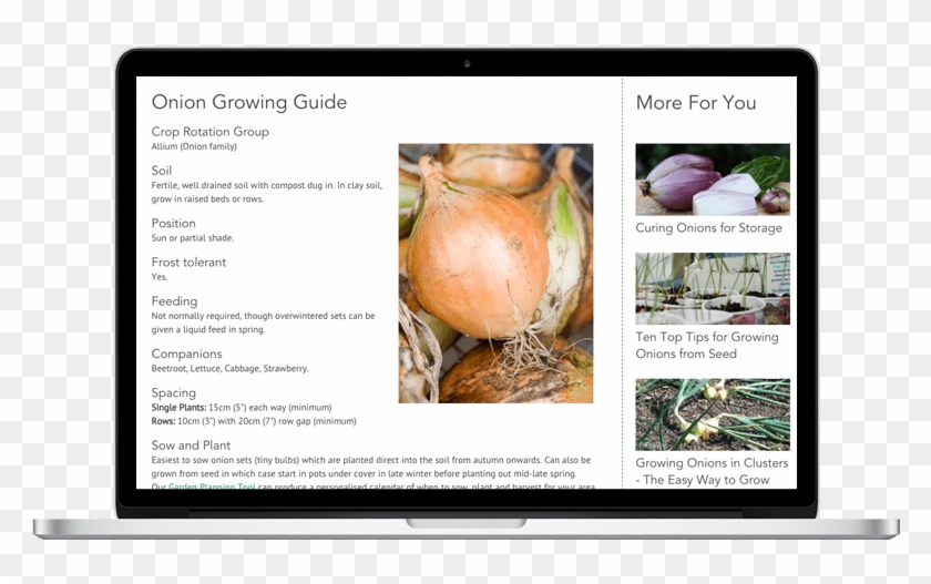 Vegetable Growing Information - Flower Clipart