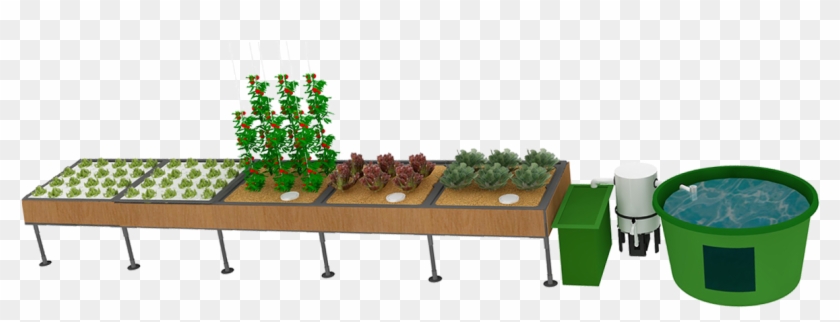 Click - Home Aquaponics System Clipart #3644652