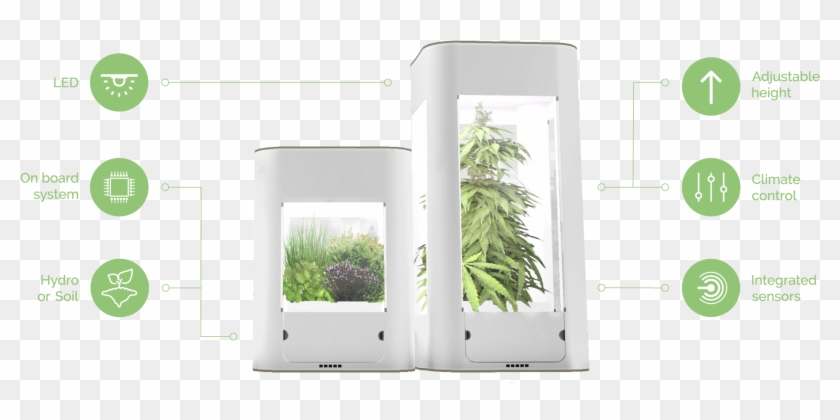 Equipped With Climate Control Actuators And State Of - Grass Clipart