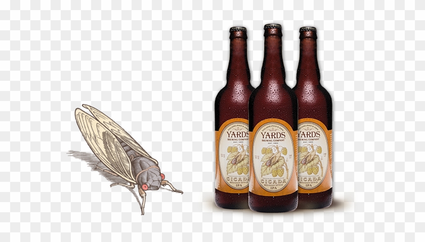 Yards Brewing Co - Beer Bottle Clipart