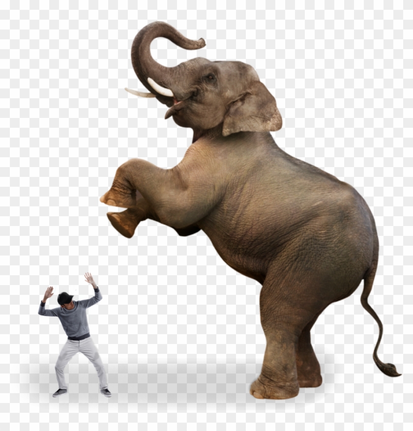 #ftestickers #man #scared #angryelephant #elephant - Indian Elephant Clipart