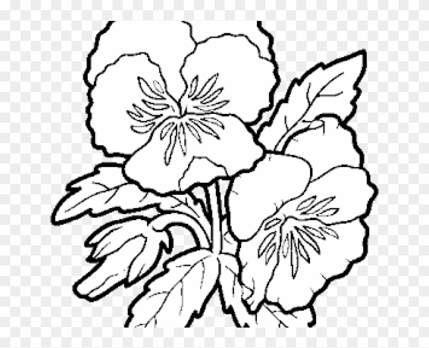Download By Size - Colorless Flower Clipart