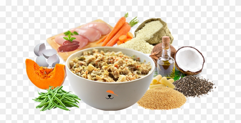 Juicy Chicken & Pasta - Carrot Clipart