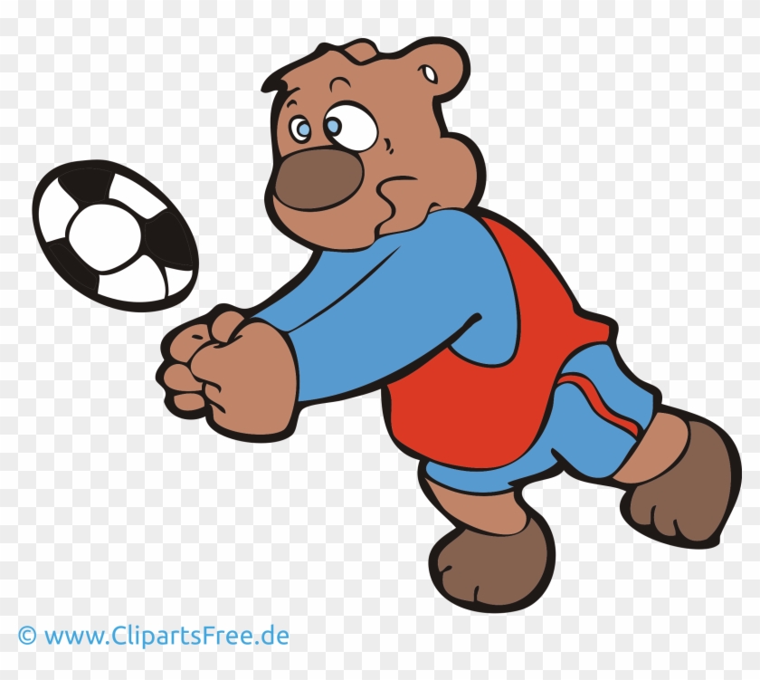 Volleyball Clipart Bild Cartoon Grafik Illustration - Cartoon - Png Download