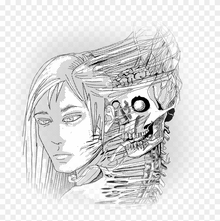 Dead,sculpture - Skeletons Sketches Face Clipart #3647294