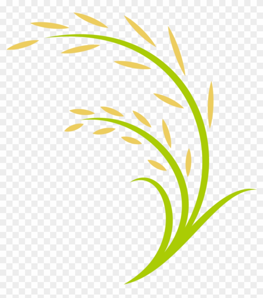 Rice Computer File - Transparent Paddy Field Clipart - Png Download