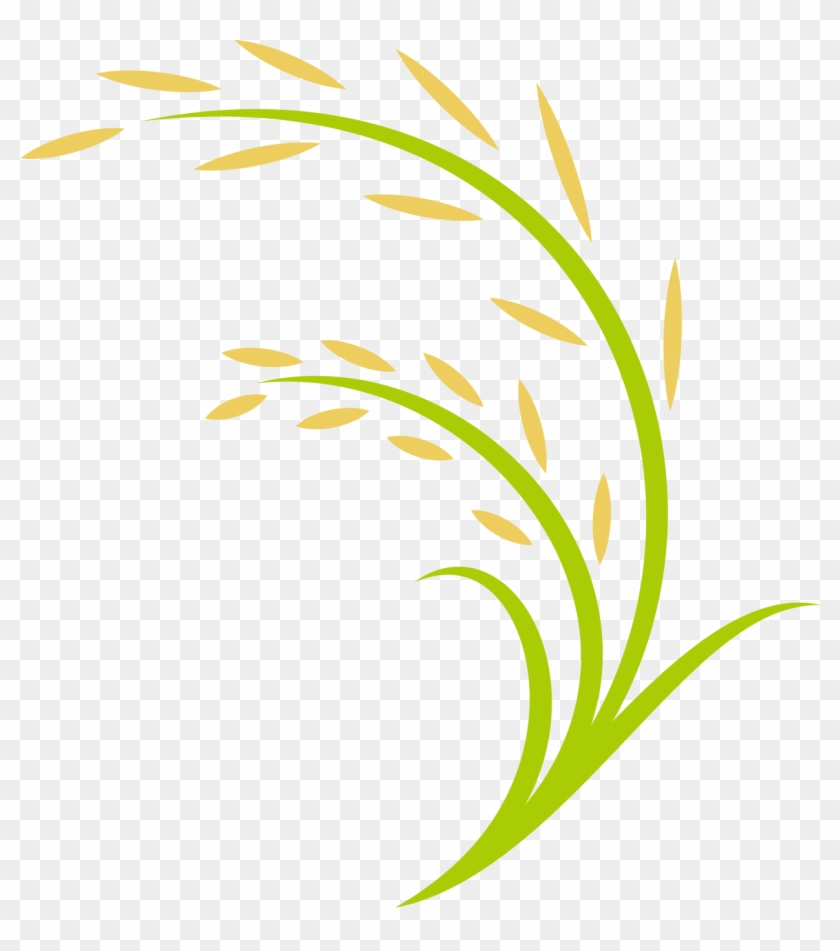 Rice Computer File - Transparent Paddy Field Clipart - Png Download #3647571