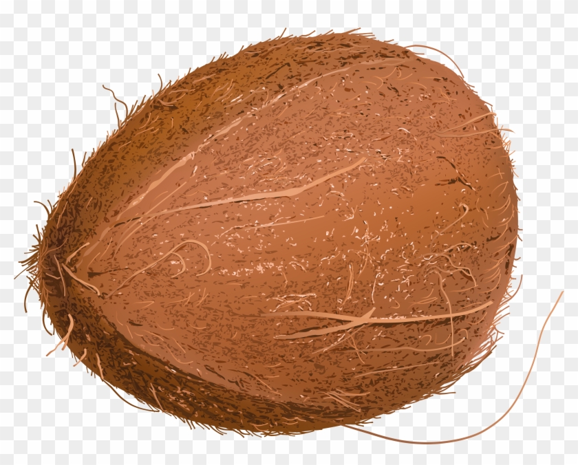 Cocoa Bean Clipart Coco - Portable Network Graphics - Png Download #3647675