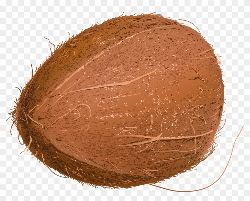 Cocoa Bean Clipart Coco - Portable Network Graphics - Png Download