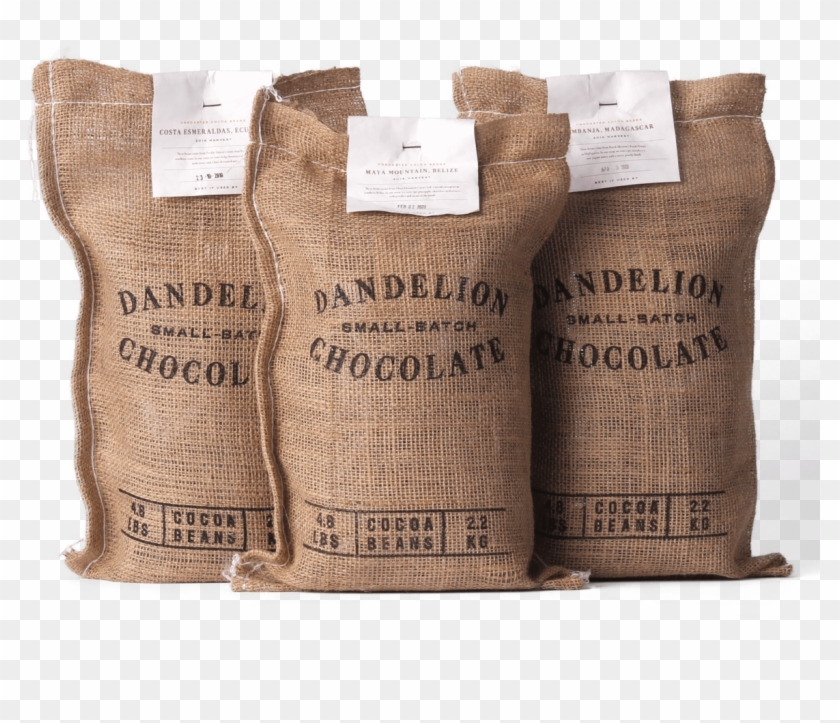 Cocoa Bean Png Clipart