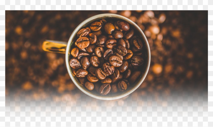 Freshly Roasted Coffee - Fresh Roasted Coffee Png Clipart #3648386