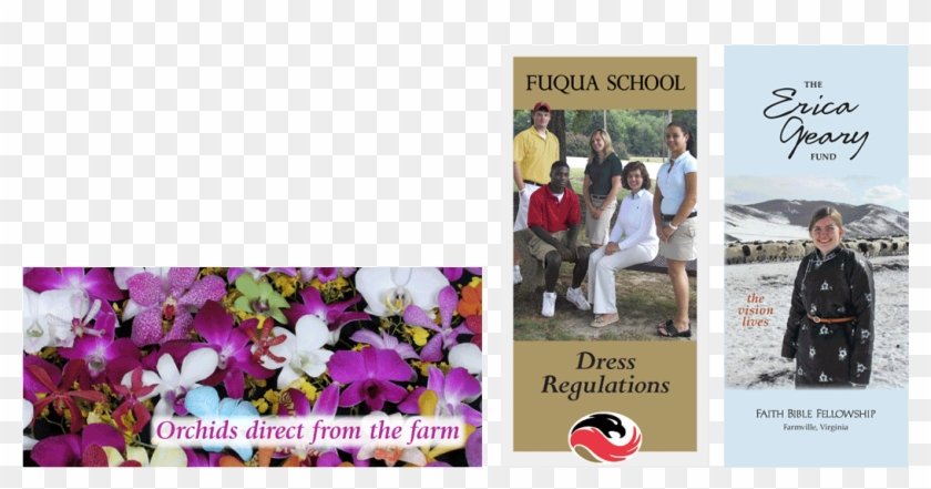 Slider More Brochures3 - Pansy Clipart