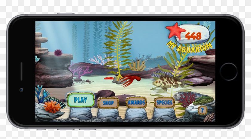 The Kelp Forest Game - Ecosystem Of Monterey Bay Clipart #3649195