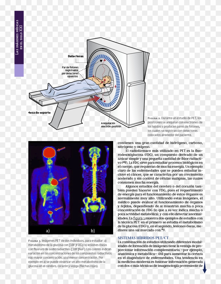 Centros De Investigación Conacyt , Png Download - Protest Tegen Langdurige Opsluiting Van De Remonstrantse Clipart #3650335