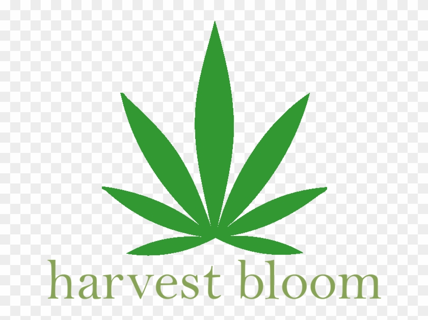 Harvest Bloom Medical Marijuana Delivery Service [interview] - Marijuana Delivery Service Logo Clipart