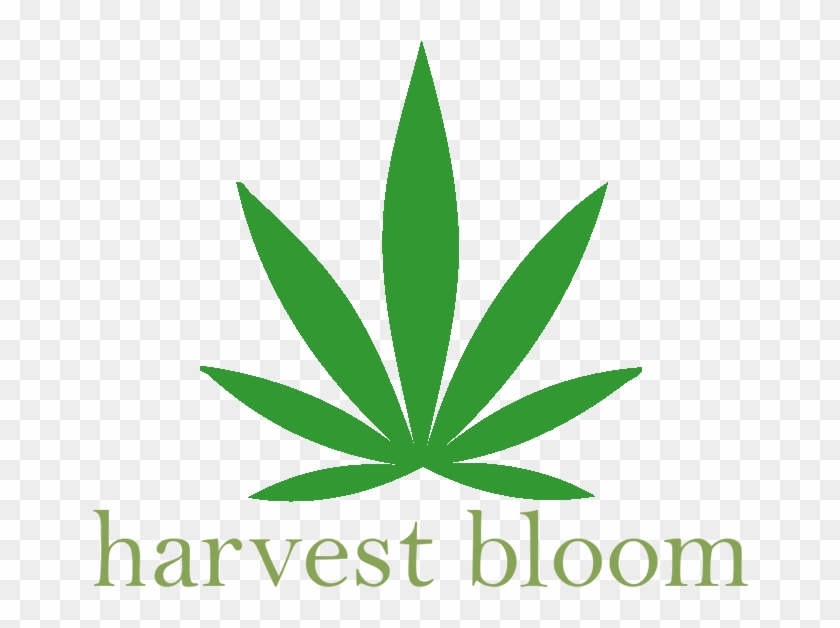 Harvest Bloom Medical Marijuana Delivery Service [interview] - Marijuana Delivery Service Logo Clipart #3652791