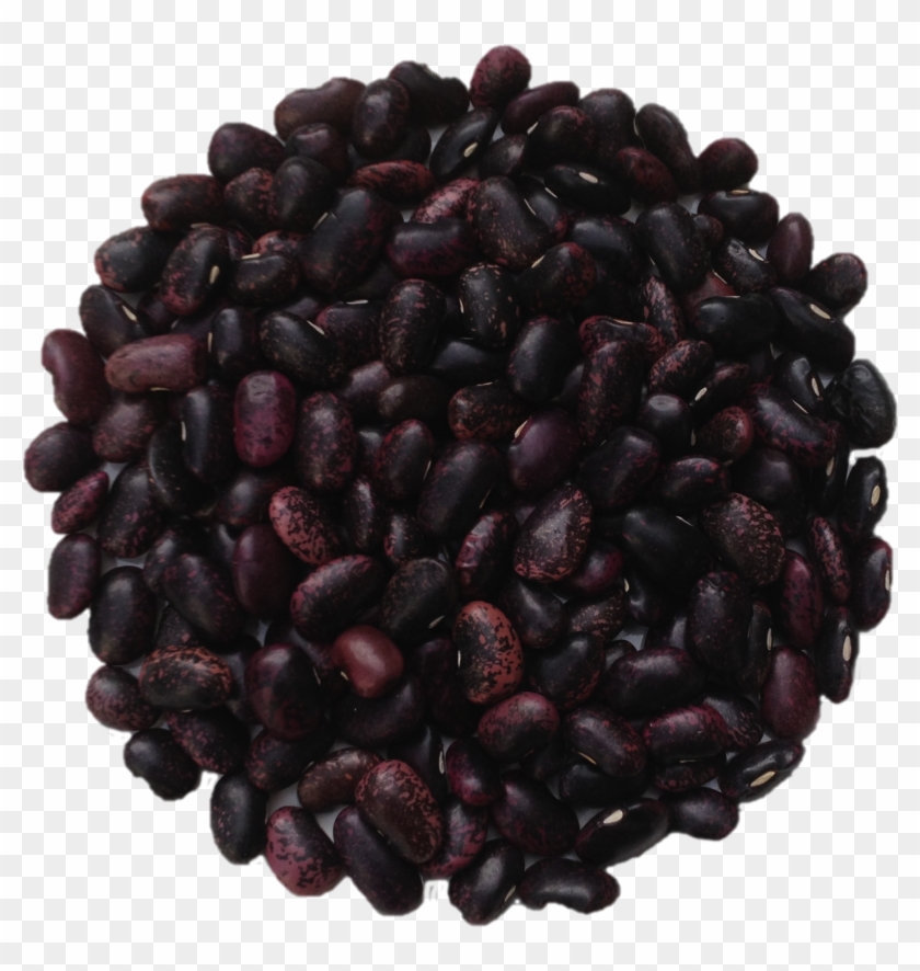 Frijol - Frijoles Negros Clipart #3653968