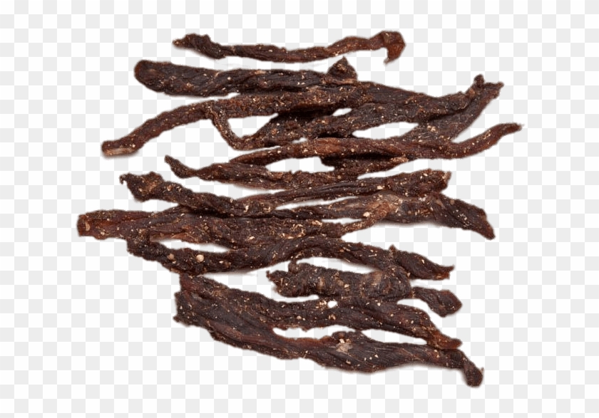 Download - Twig Clipart