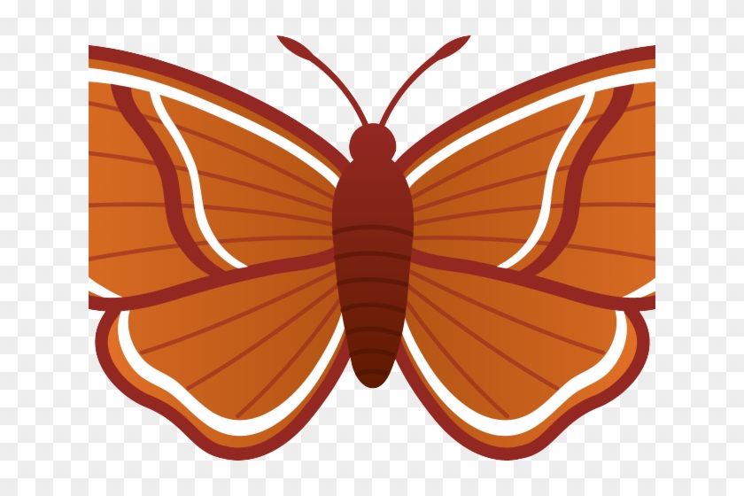 Moth Clipart - Brush-footed Butterfly - Png Download #3655002