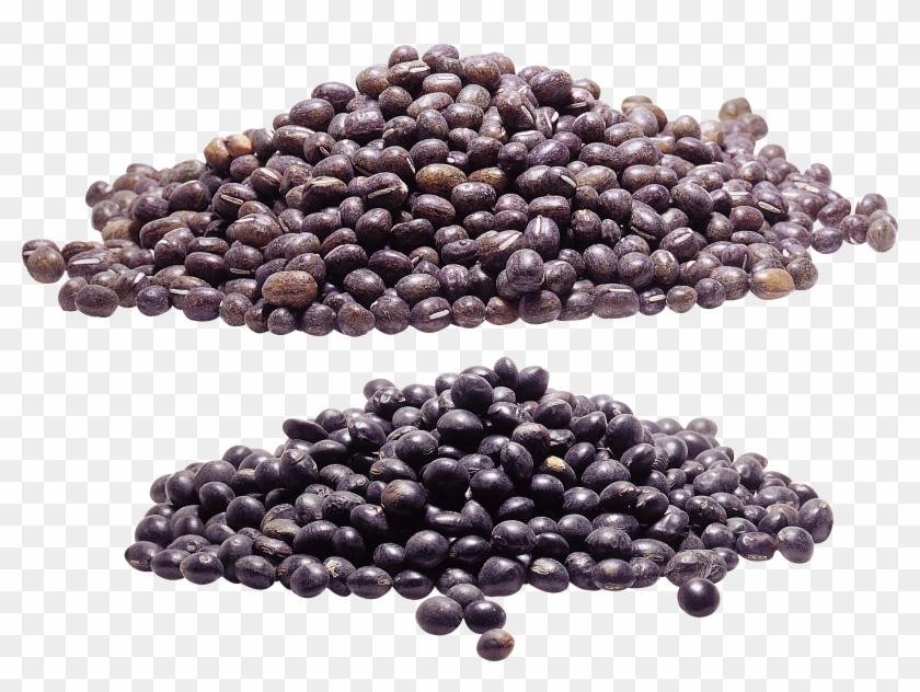 Kidney Beans Png - Bead Clipart