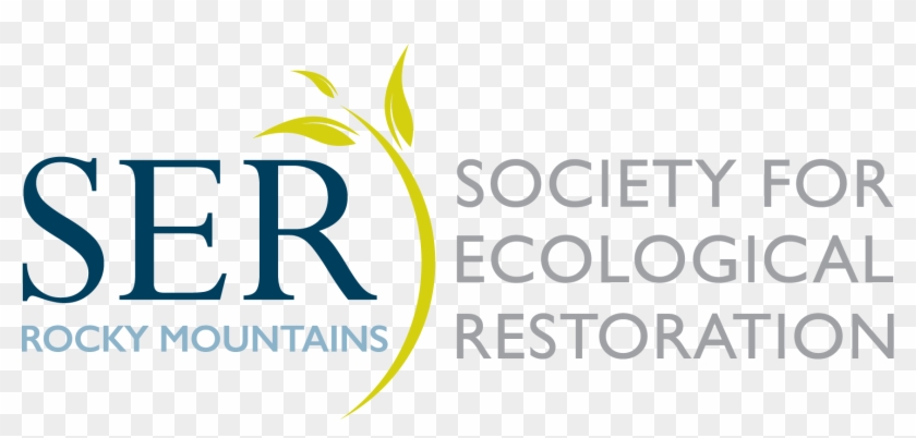 Graphic Design Clipart #3655184