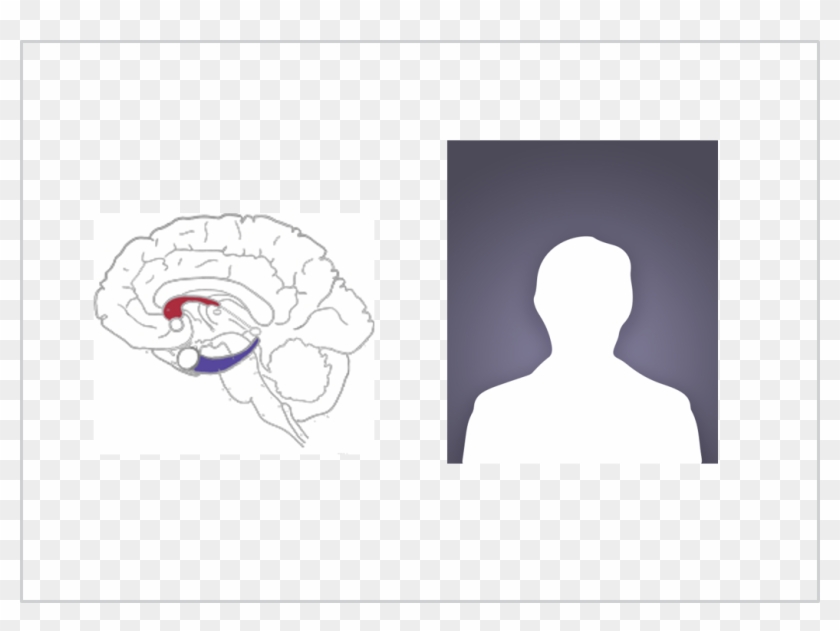 Why Some Training Doesn't Stick - Illustration Clipart