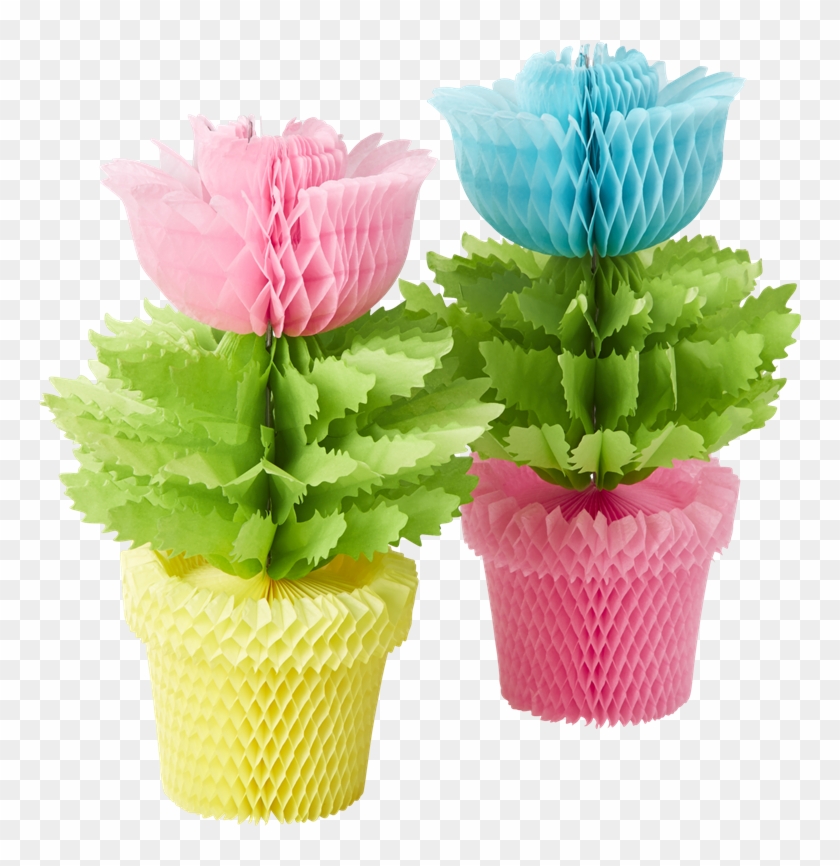 Rice Dk Paper Flower Pots Honeycomb Decoration - Macetas De Papel Nido De Abeja Clipart