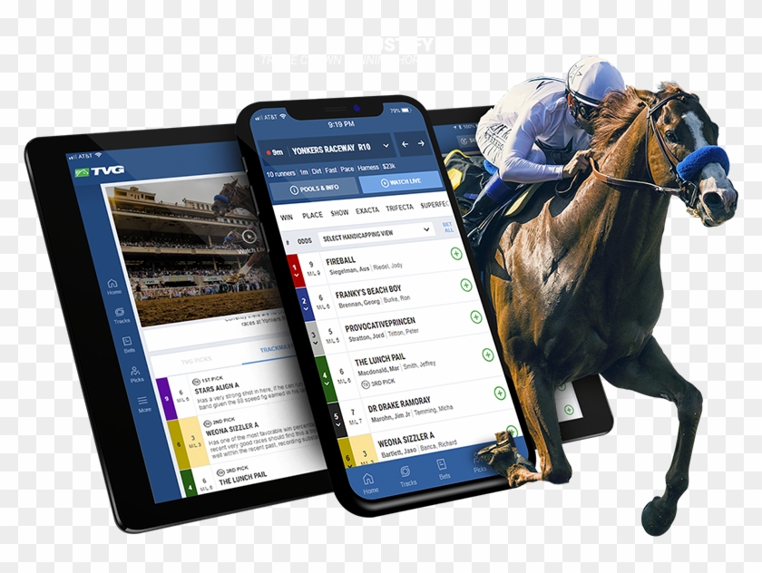 Stallion Clipart #3655899