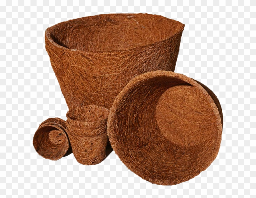 Coir Pot - Coir Pots Clipart