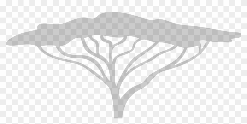 Box - Acacia Tree White Png Clipart #3656188