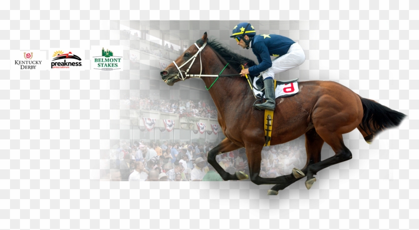 Cusiconage - Belmont Stakes Clipart #3656255