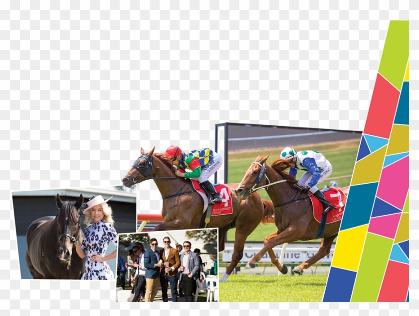 Home - Flat Racing Clipart