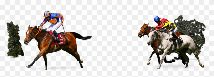 Horses Running In A Race - Steeplechase Clipart