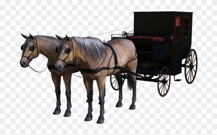 Carriage Horse Drawn Wagon Horses Animals Coach - Stallion Clipart #3661098
