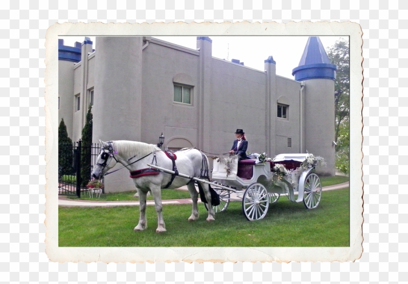 Mare Clipart #3661604