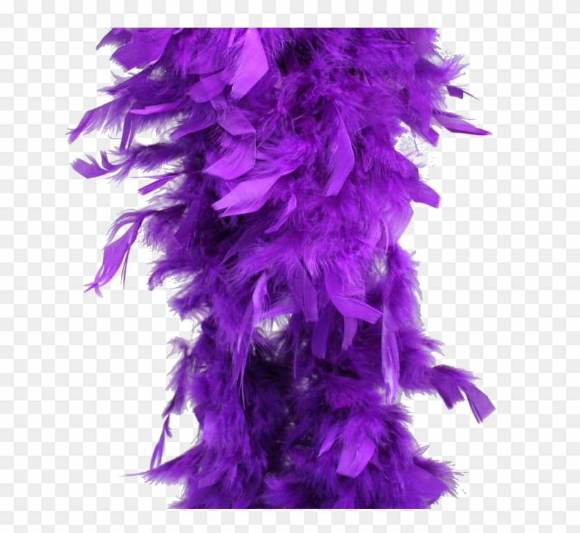 Feather Boa Transparent - Feathers Boa Clipart