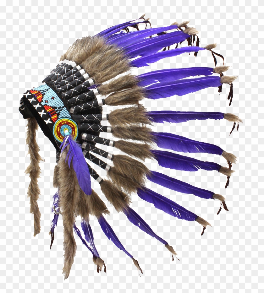 Indian Feather Png Clipart