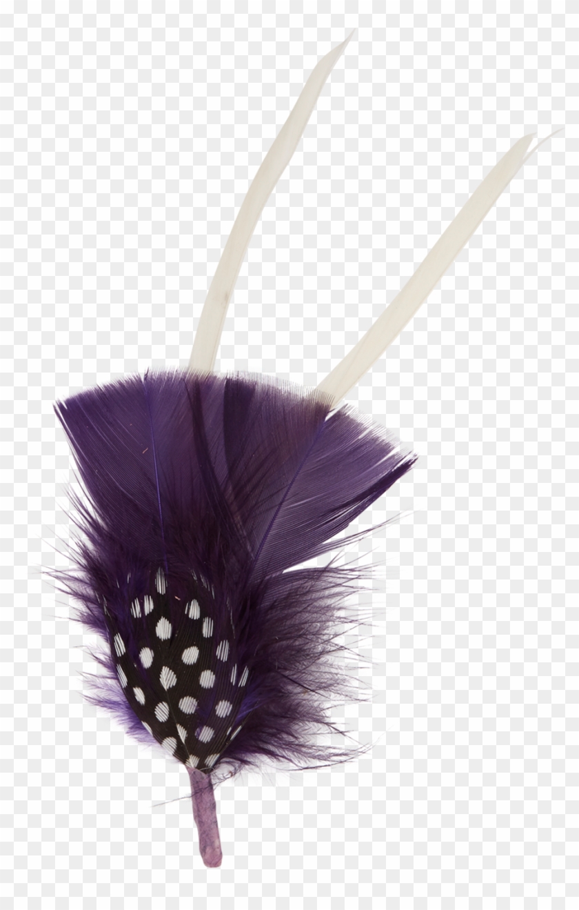 Feather Clipart #3662001