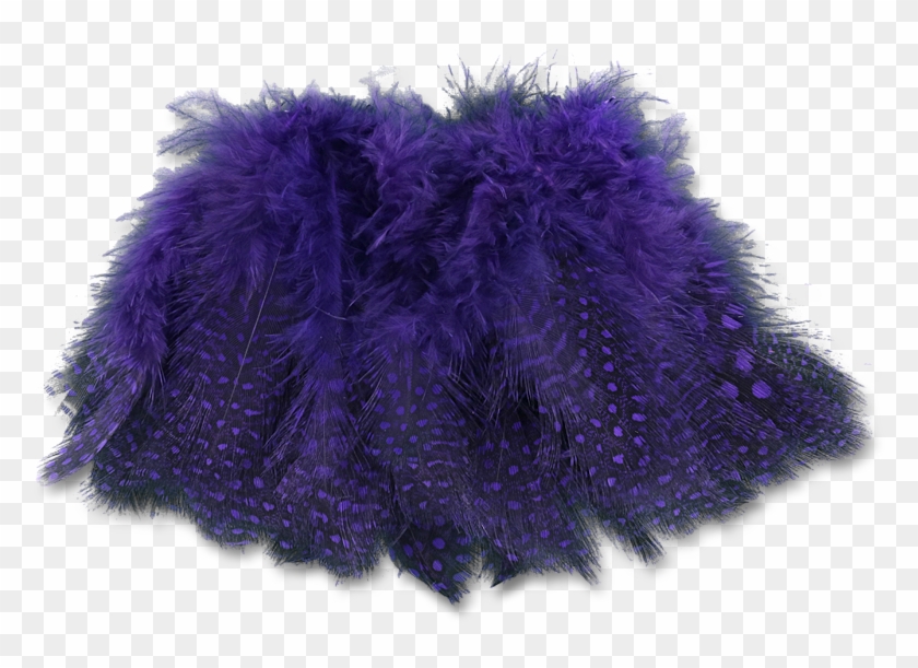 Select Guinea Body Feathers - Velvet Clipart
