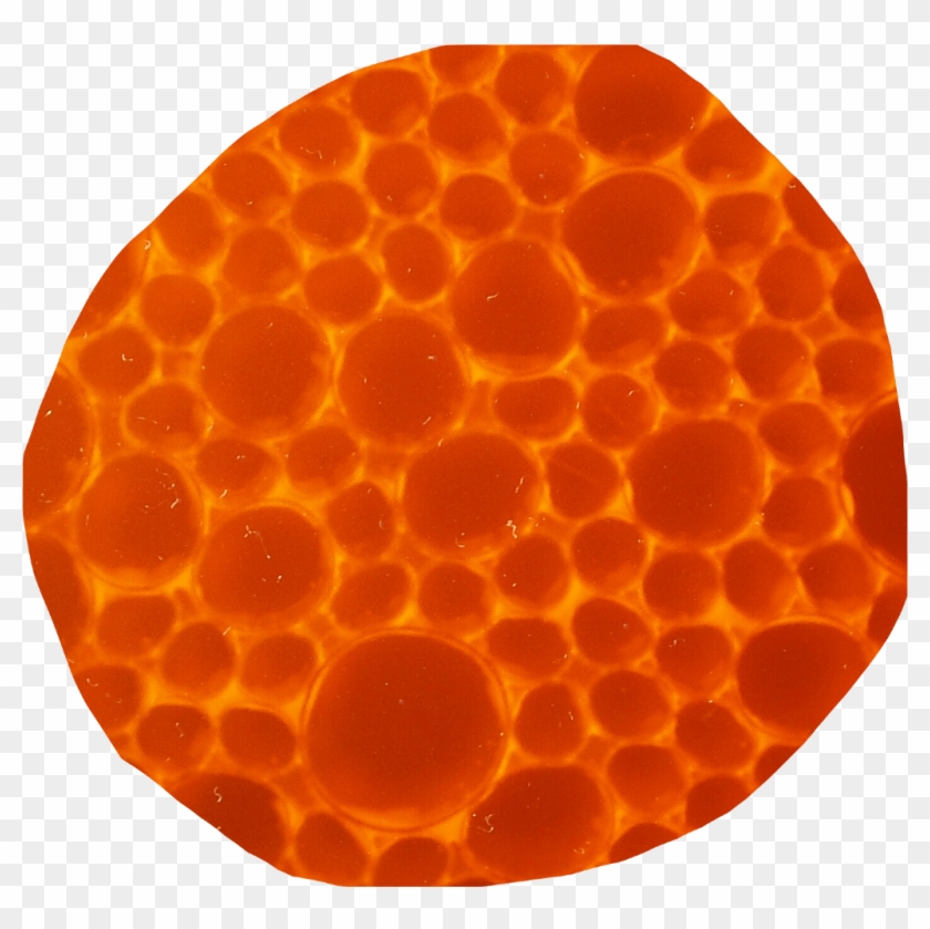 #honey #comb #honeycomb #bee #bees #honeybee #honeybees - Circle Clipart #3663722