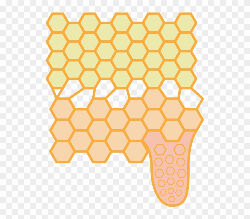 Queen Cell - Honeybee Clipart #3664303