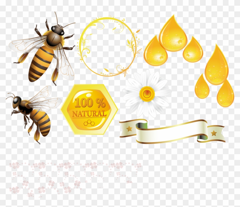 Svg Black And White Stock Honey Hive Template Download - Honey Clipart #3664398