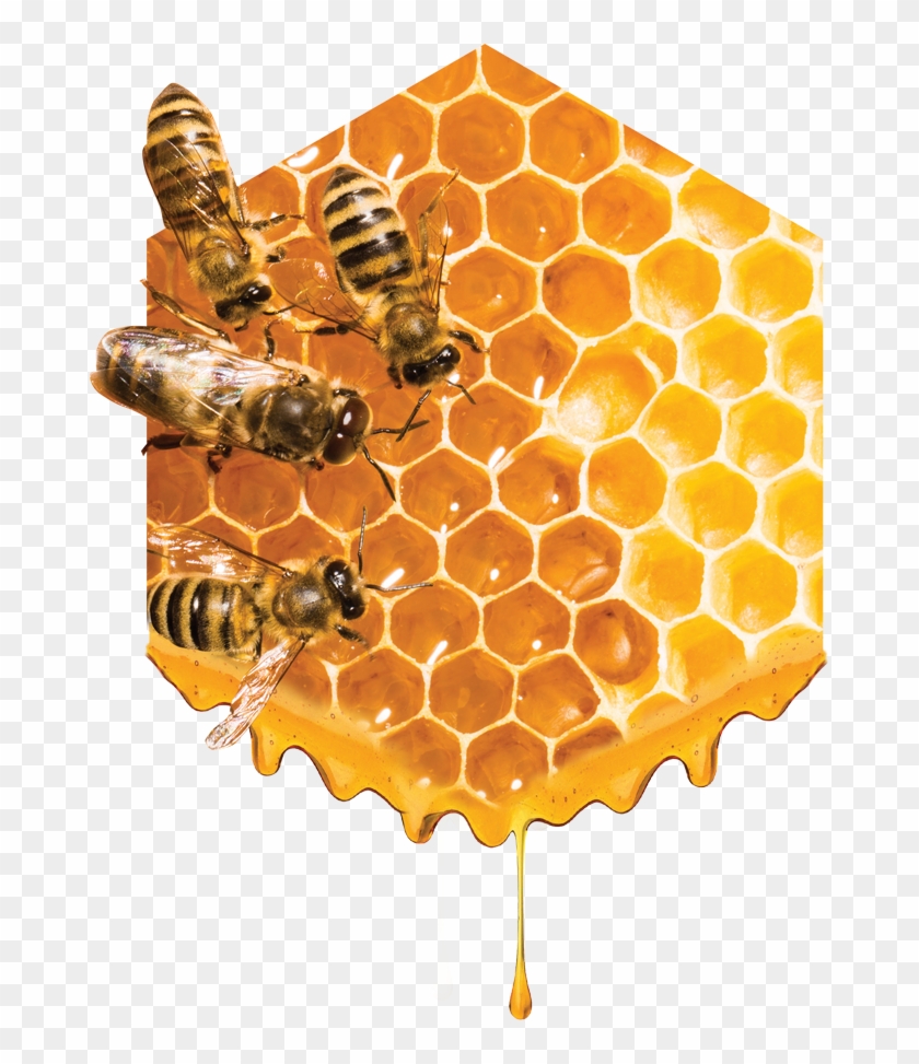Unparalleled Customer Service - Abeja En Un Panal Clipart #3664672