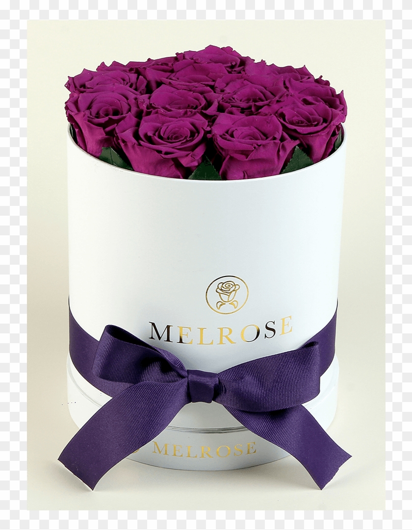 The Melrose Small Round Box Purple - Garden Roses Clipart #3666033