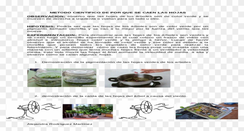 Sauté Pan Clipart #3666975