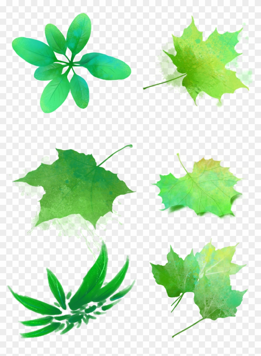 Hojas Verdes Acuarelas Manchas Png Y Psd - Watercolor Painting Clipart