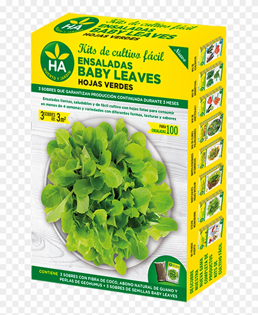 Caja Babyleavesbicolor Ha - Flores De Rapido Crecimiento Clipart