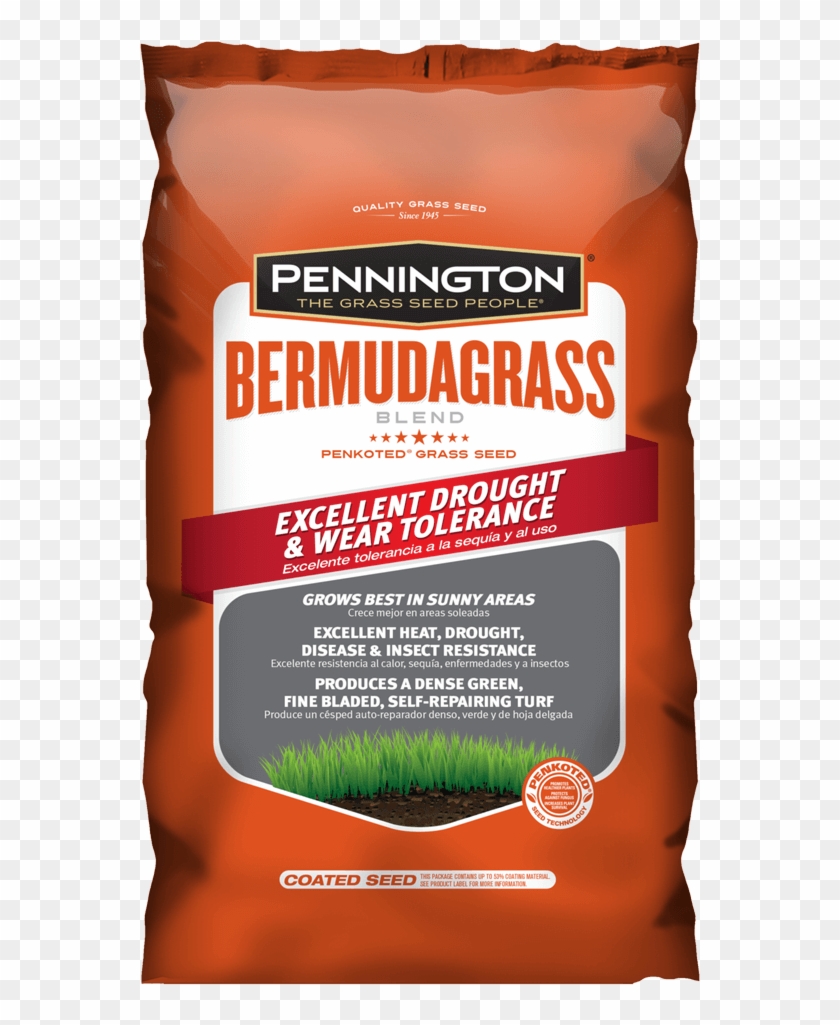 Pennington Bermudagrass Blend - Lawn Clipart #3667783