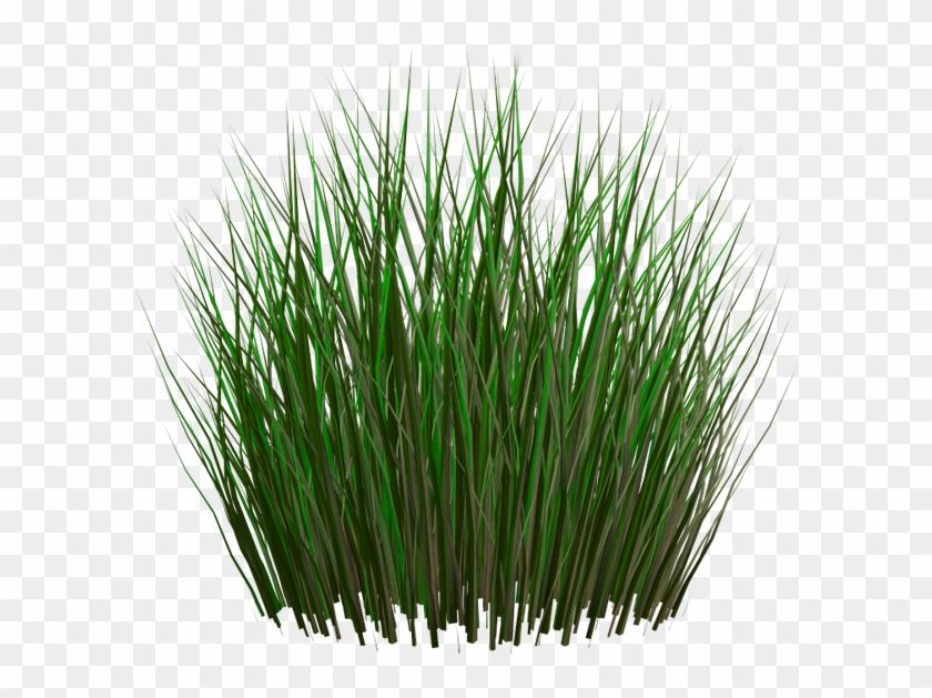 Зеленые Листья Камыша, Болотная Трава, Камыш - Tall Grass Transparent Background Clipart