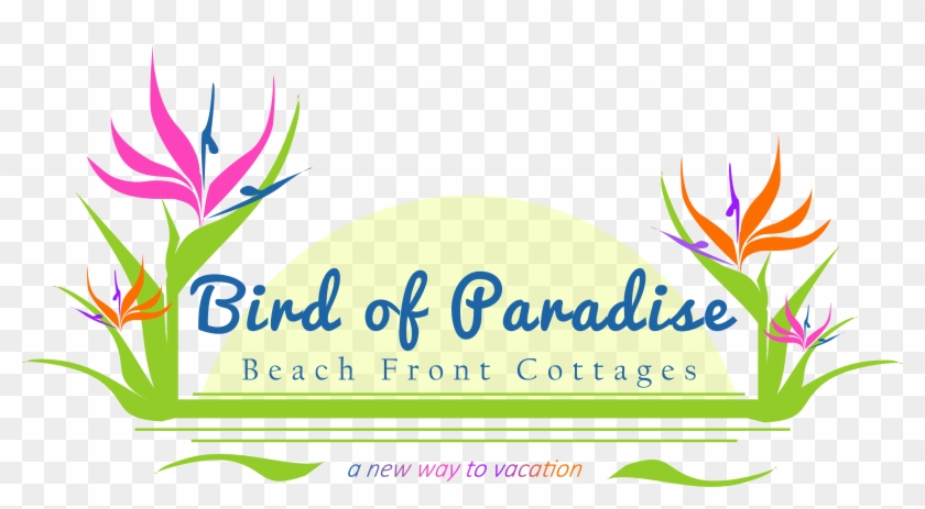Bird Of Paradise Logo Clipart #3668249